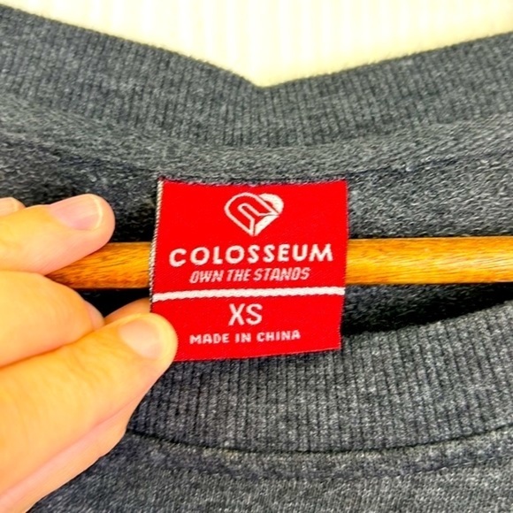 Colosseum - Florida Gators Long Sleeve Gator Graphics And Stripes Sweatshirt XS - Picture 8 of 11